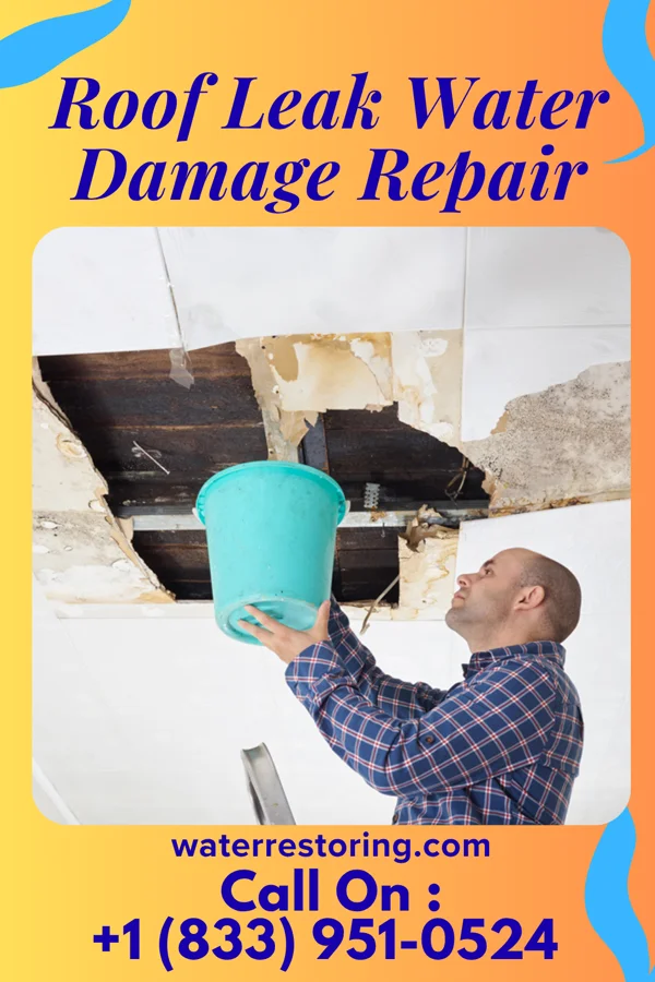 Roof Leak Water Damage Repair in Eden, SD